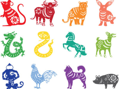 12 chinese zodiac igns vector